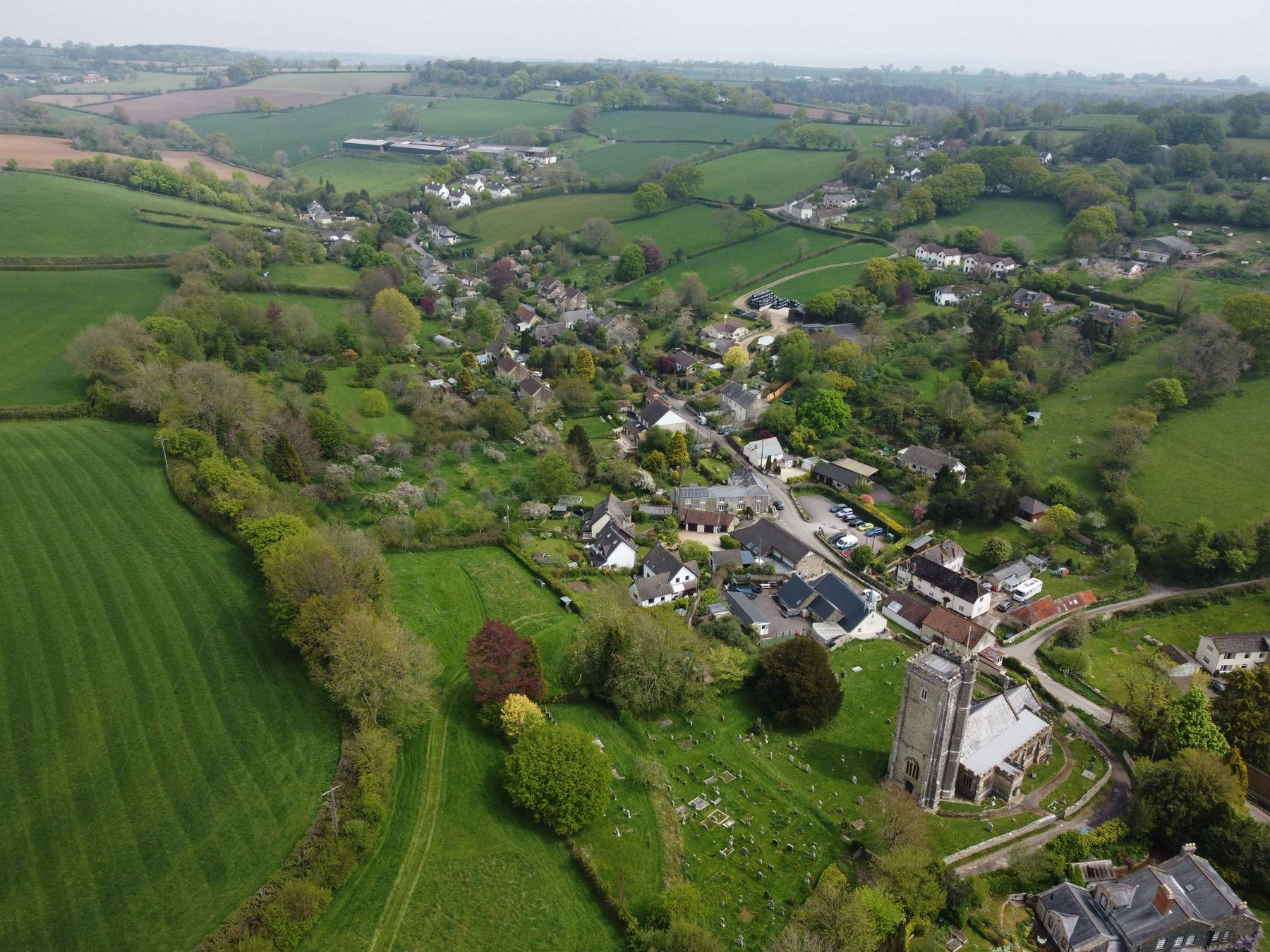 Pink and white bokeh