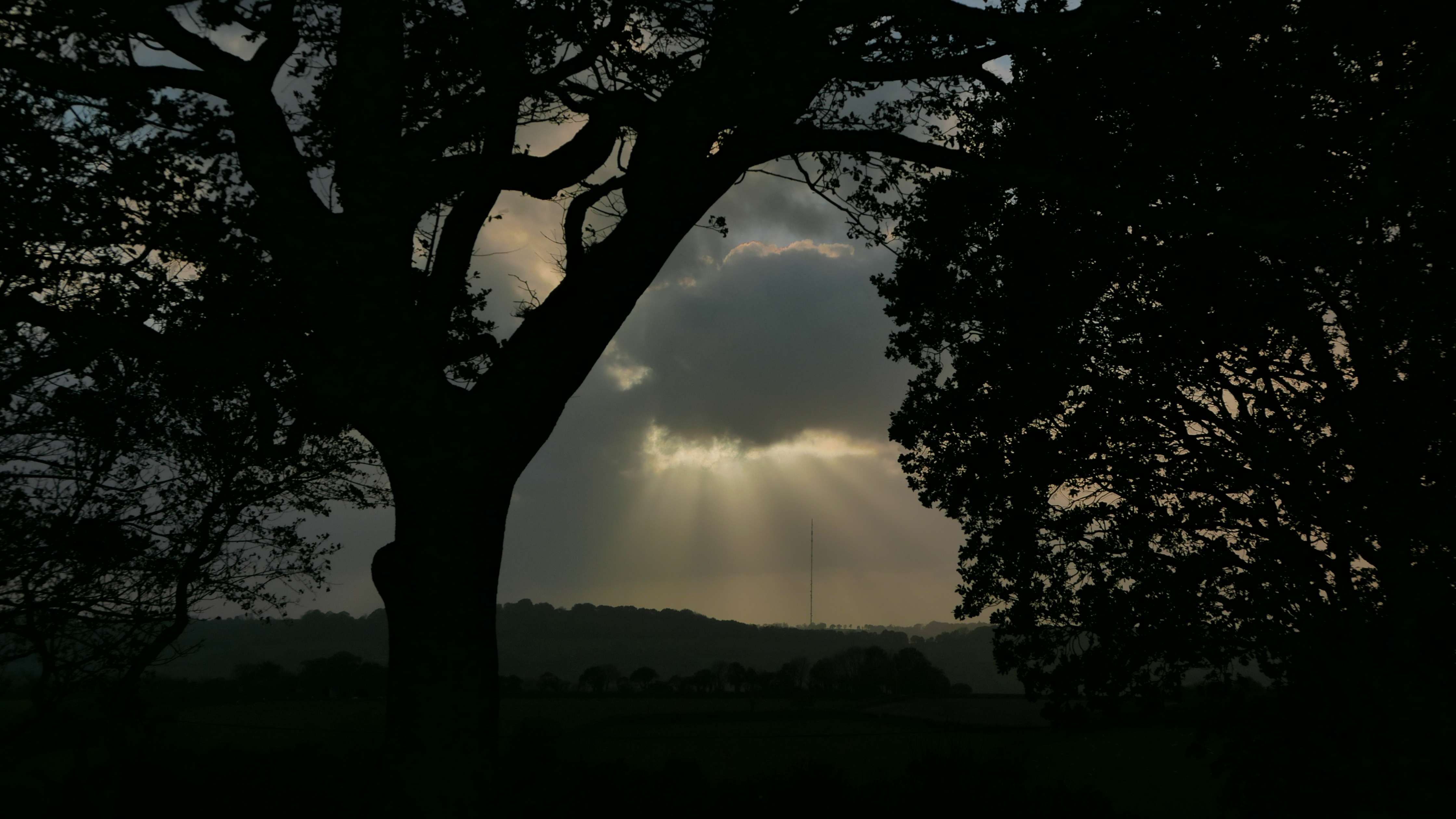 Pink and white bokeh